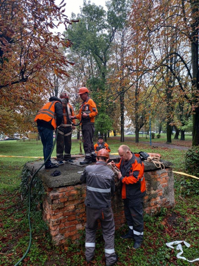 Від початку року на лінію 104 звернулися 16 тисяч закарпатців