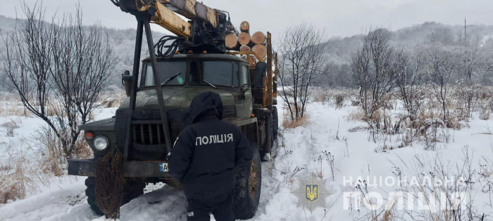 На Закарпатті поліцейські затримали вантажівку з нелегальною деревиною