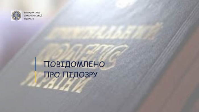 Шахрайство із відшкодуванням ПДВ на 856 тис грн – підозрюють підприємця з Мукачева