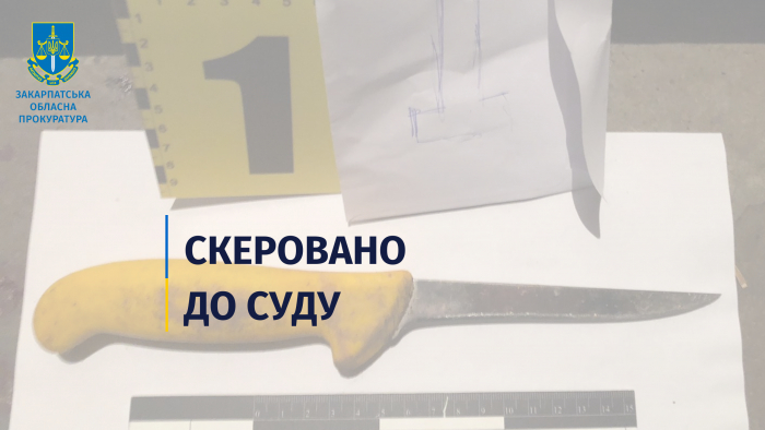 За вбивство співмешканця на Мукачівщині судитимуть місцеву жительку