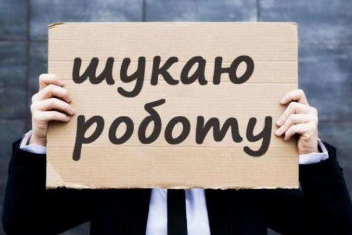 Працевлаштування переселенців в Закарпатті. Чи є вільні вакансії?
