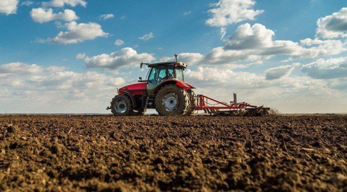 Для проведення посівної на Закарпатті зарезервували достатню кількість палива
