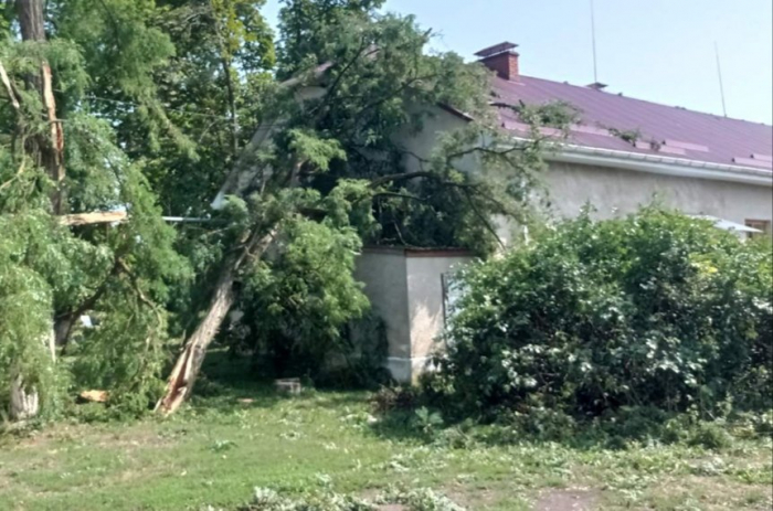 Наслідки негоди на Закарпатті: Часткове аварійне знеструмлення населених пунктів