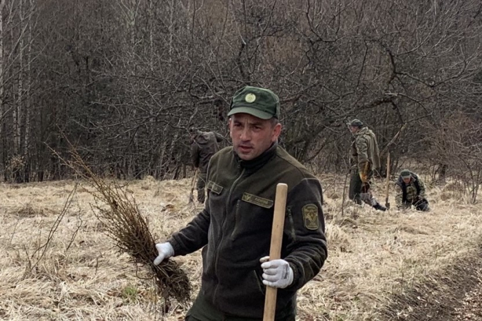 Лісничий Кам'янського лісництва Олександр Турянчич - про ліс, заготівлю дров та всихання бука