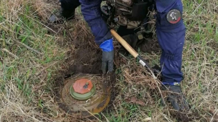 Закарпатські піротехніки розміновують Київщину (ВІДЕО)