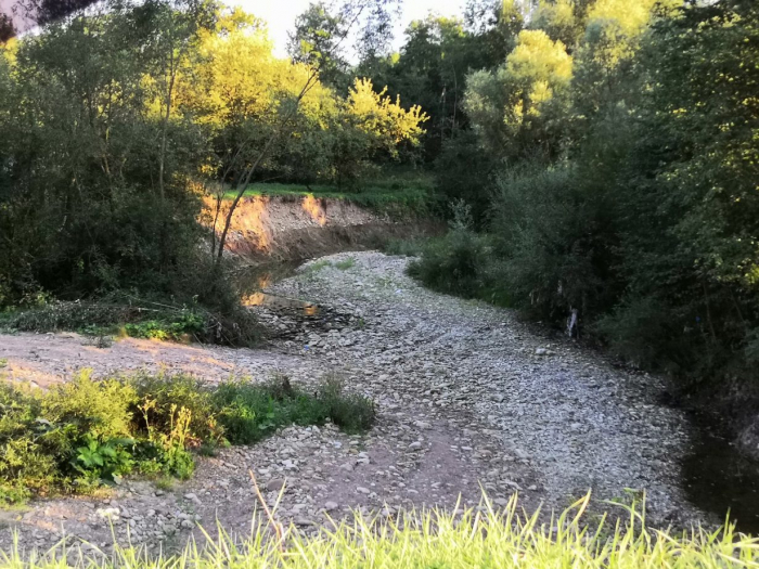 На Закарпатті можуть ввести обмеження на забір та використання води із річок