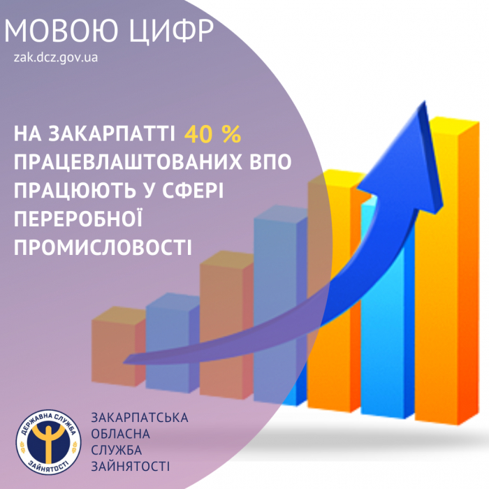 На Закарпатті 40 % працевлаштованих ВПО працюють у сфері переробної промисловості