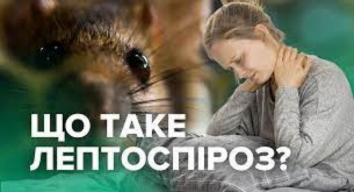 141 українець захворів на лептоспіроз – це у 1,6 рази більше за подібний період минулого року