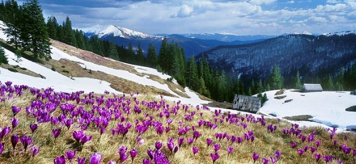 Прогноз погоди в Закарпатті вівторок