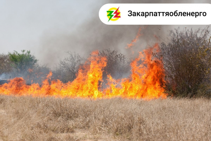 «Закарпаттяобленерго» звернулося до закарпатців із проханням не палити суху траву: можна лишитися без світла
