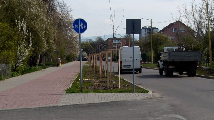 Шевченківські дуби відтепер і в Ужгороді: акція нових насаджень (ВІДЕО)