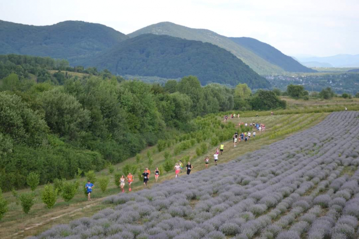  Лавандова гора запрошує на фантастичний арома забіг 3rd Lavanda Run 2023