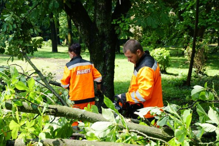 Комунальні служби продовжують ліквідовувати наслідки негоди в Ужгороді
