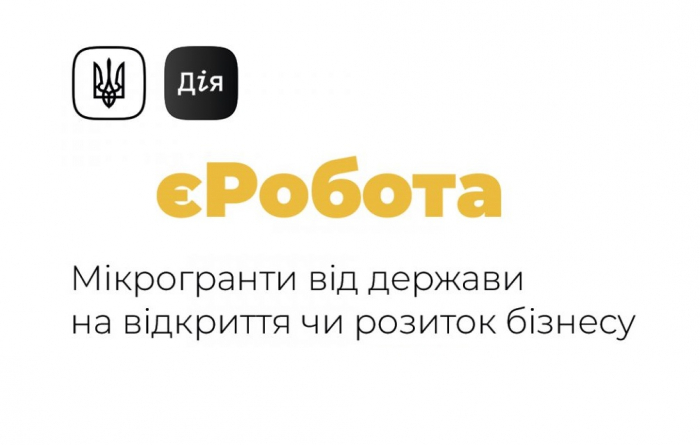 На Закарпатті на реалізацію проєкту «єРобота: Власна справа» спрямовано вже 8,5 млн гривень