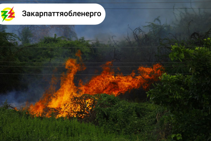 Закарпаттяобленерго закликає: не розпалюйте вогонь в охоронних зонах об’єктів енергетики

