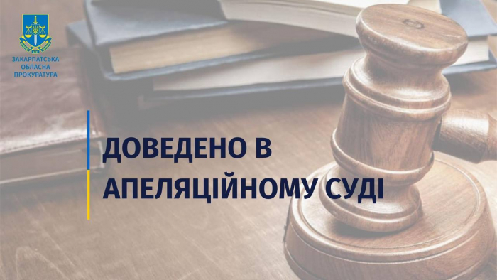 Прокуратура в апеляції скасувала незаконне визнання права власності на нерухомість у Великому Березному
