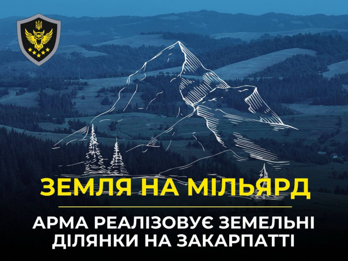 АРМА продасть на Закарпатті 460 гектарів землі. Кошти передадуть на спецрахунок ЗСУ