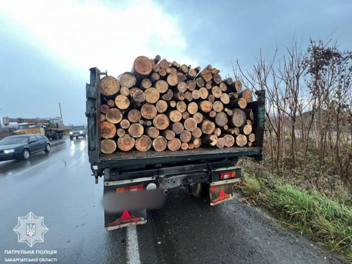 Патрульні виявили у Мукачеві водія, який незаконно перевозив деревину