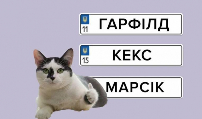 Скільки коштує "круть": в Україні відновили замовлення індивідуальних номерів: 