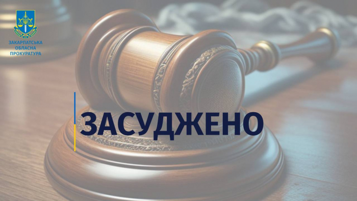 7,5 років позбавлення волі та конфіскація майна – вирок суду закарпатцю за незаконне переправлення військовозобов'язаних