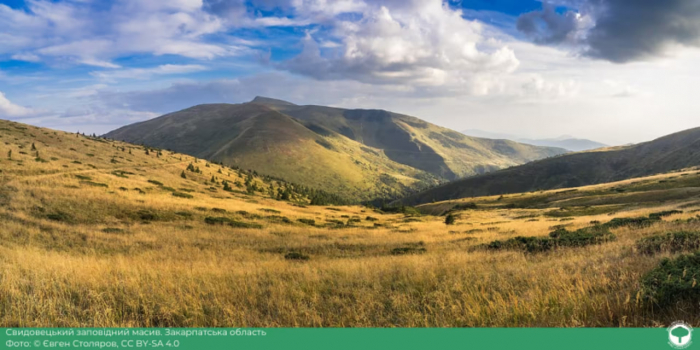  «Вікі любить Землю»: світлина із Закарпаття - серед 10 найкращих фото української природи у 2024 році