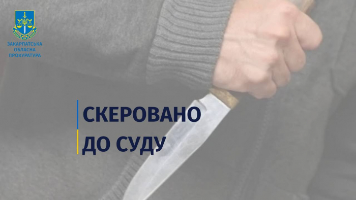 На Хустщині місцевого мешканця обвинувачують у побитті знайомого – йому загрожує до 8 років ув’язнення