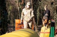 У Боздоському парку відкрили першу в Ужгороді спеціально облаштовану ділянку для вигулу та тренувань собак