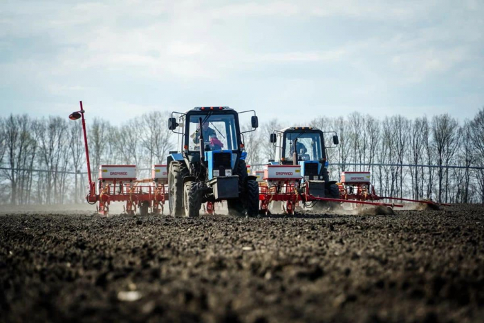 Під урожай наступного року в Закарпатській області провели посів озимих зернових на 25,9 тис. га