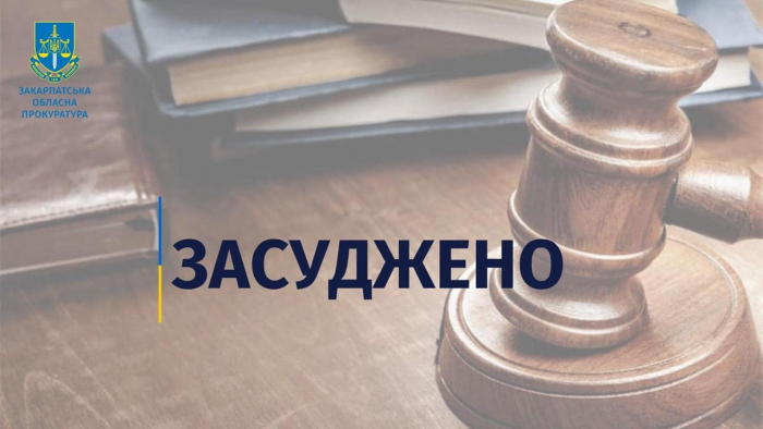 На Хустщині чоловіка, що допомагав військовозобов’язаним незаконно перетнути кордон, засудили до ув’язнення