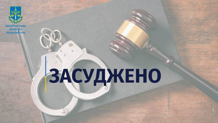 За побиття співмешканця до смерті на Берегівщині жінку засудили до 9 років позбавлення волі

