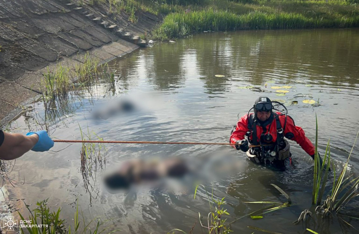 Трагедія на Берегівщині: потонули  одразу двоє дітей
