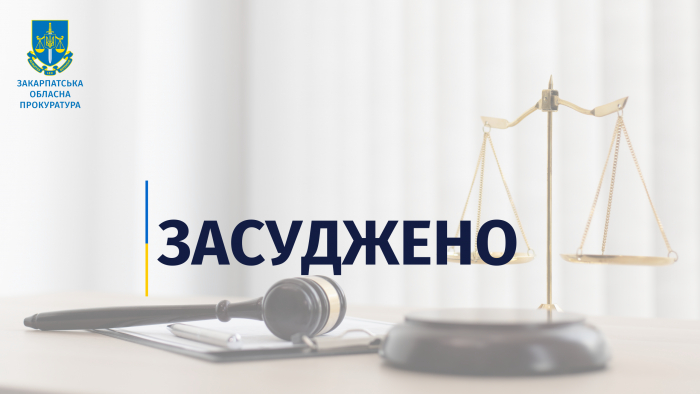 Стріляв у авто з місцевими жителями через конфлікт – на Рахівщині чоловіка засудили за хуліганство
