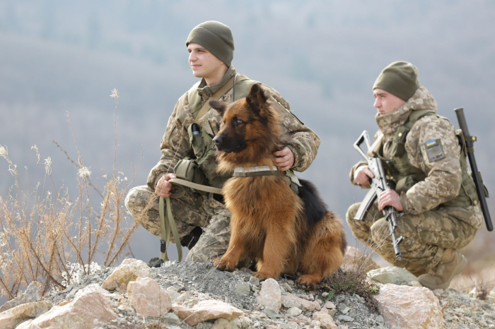 Історія охоронців українсько-словацького кордону: німецької вівчарки Каро та кінолога  В'ячеслава