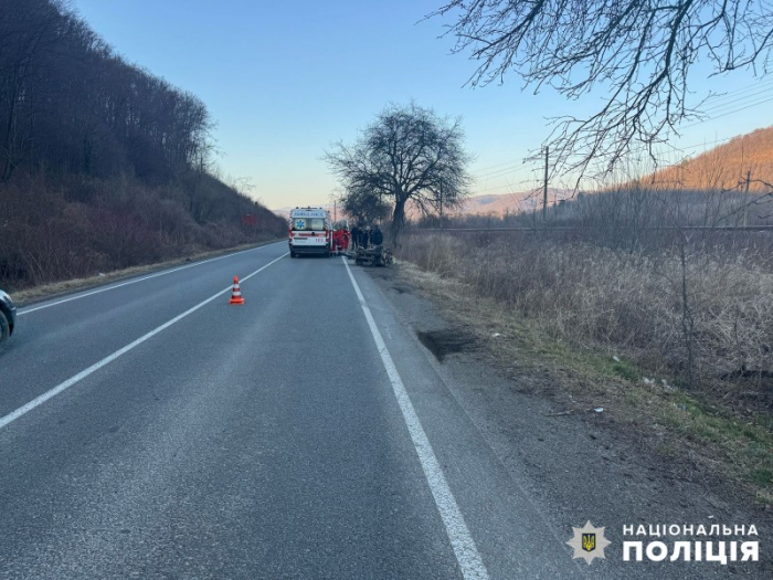 Поліцейські Перечина встановлюють обставини смертельної ДТП